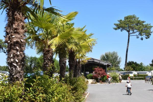 Mobil Home Xxl - Bord Lac - Camping Les Viviers - Lege Cap Ferret Εξωτερικό φωτογραφία